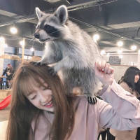 祝我以后活的像个大魔王一样没心没肺风生... 鰙洧嘲辷馹鷡処軻詓，
