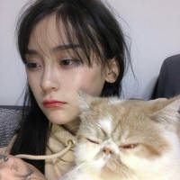 不曾离弃便是久伴 你