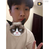 我已经不是你唯一的爱