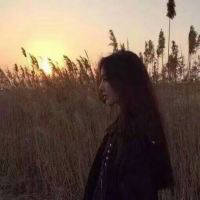 一见如故的爱上了你，