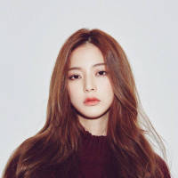大仙er：后来遇到喜欢的人也摇摇头说算了 也许是我不重要，才会