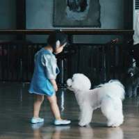 道理我都懂 可我要的不是道理 是你 无论世界多么荒芜总会