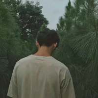 你就像黑夜的树枝，要