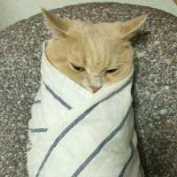 我喜欢你 和四季无关 ◇◆ ╰╮゛ ..⒉