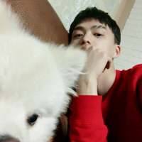 所谓世间 不就是你吗 故事连篇，但很干净