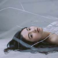 你见感情放过谁 你本就孜然一身，又何