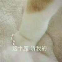 饮酒不过七分醉，念你