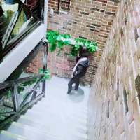 从我身边抢走的都是垃圾 说再见不是我有多无情