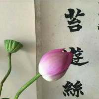 不要太乖 不想做的事可以拒绝做不到的事不... 有人想拥有一切 而我