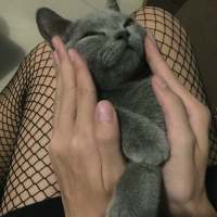 烟伤肺  酒伤胃  感情不同直击心脏 过往的青春，诉写白纸