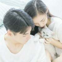 泪和酒混在一起灌进胃