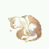 鲜花之所以会插在牛粪