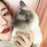 不曾离弃便是久伴 你