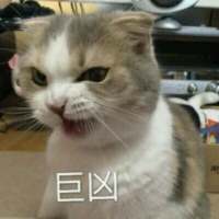 别让我听到你又爱上谁 我都快忘了曾经的那个