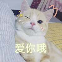撒娇专用表情包 超喜欢惹 世界上最幸福的事，是