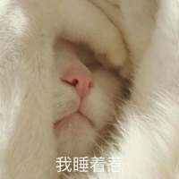 撒娇专用表情包 超喜欢惹 世界上最幸福的事，是