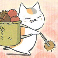 猫咪老师 不要总是做一些道德式