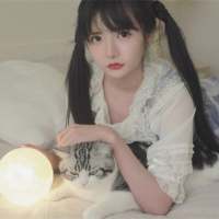 王喜猫