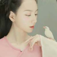 王喜猫 再转身，去欣赏别的风