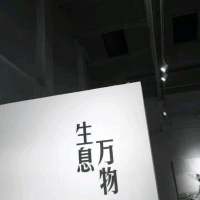 我还是喜欢你 像爱上猫的鱼 以命相抵? 你别回来了，我不想继