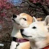 情头第五波 你们要的神经…啊不，特别的情... 男人只是用来消遣的东