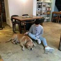 秋季搭 我总是喝自己的孤独，
