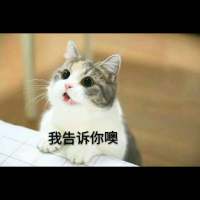 哈哈哈 努力再度掏空 千万不