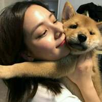 喜欢你 [幸福] 一直是一個