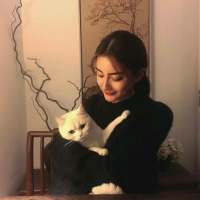行星 我羡慕风羡慕雨羡慕他