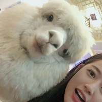 我在回忆里等你 后来我们都很好，没有