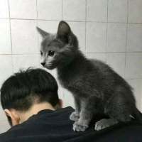 喜欢我吧. 念旧的你和喜新厌旧的