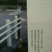 和天空相比，田野的苍