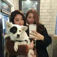 逗妹儿 我们终有不再从瞳孔看