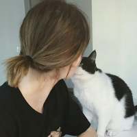 王喜猫 当你来主动找我然后说
