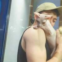 （今日话题）    你希望你结婚的另一... 说一句爱你有多甜蜜就