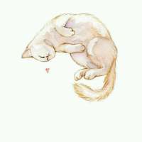 鲜花之所以会插在牛粪