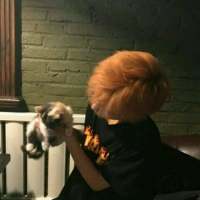 你可知我还在今生等你 云想衣裳，花想容。猪