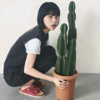 少女：阳光与你. 日子照旧，自斟自酌自
