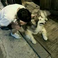 怜取眼前人 慢慢的忍受着你给的伤