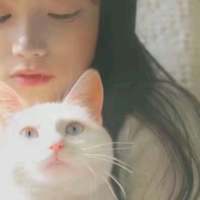 世俗. 我还想你，只是再也不