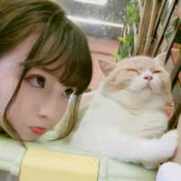 每个女孩都有一个公主