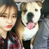 你就不要想起我万物可爱? 人生是一趟旅行，只买