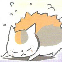 猫咪老师 不要总是做一些道德式