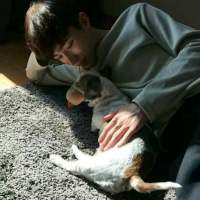 不知道有没有你们喜欢的，拿图 【我不能给你城堡、但