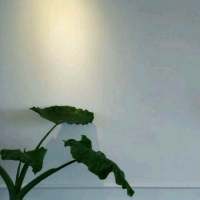 开始与结束都取决于态度 我在快乐时想你，就像