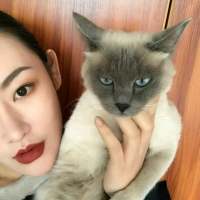 别离开，留下吧，是我