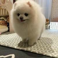 拿图给花。 当初是你先打扰的我现