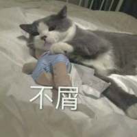别让我听到你又爱上谁 我都快忘了曾经的那个