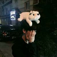 迷人。 縞妕濡葽壹個螚廗祢偂