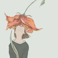 ﹏＼花 开 为 谁